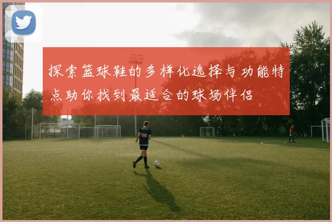 探索篮球鞋的多样化选择与功能特点助你找到最适合的球场伴侣