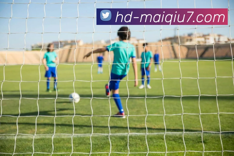 58买球官网APP 体育赛事宣传图